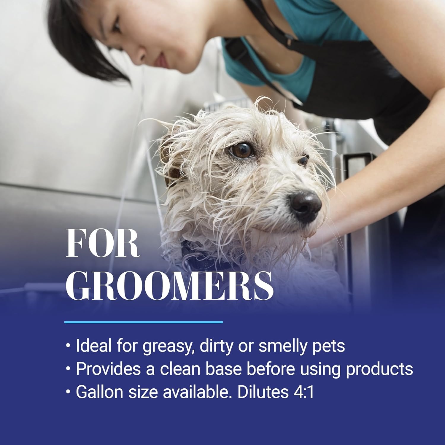image:imageChris Christensen Clean Start Clarifying Dog Shampoo ProVitamin Formula That Wont Strip The Coat Removes Product Buildup Waxes Oil and Dirt 16 Ounces16 Ounces