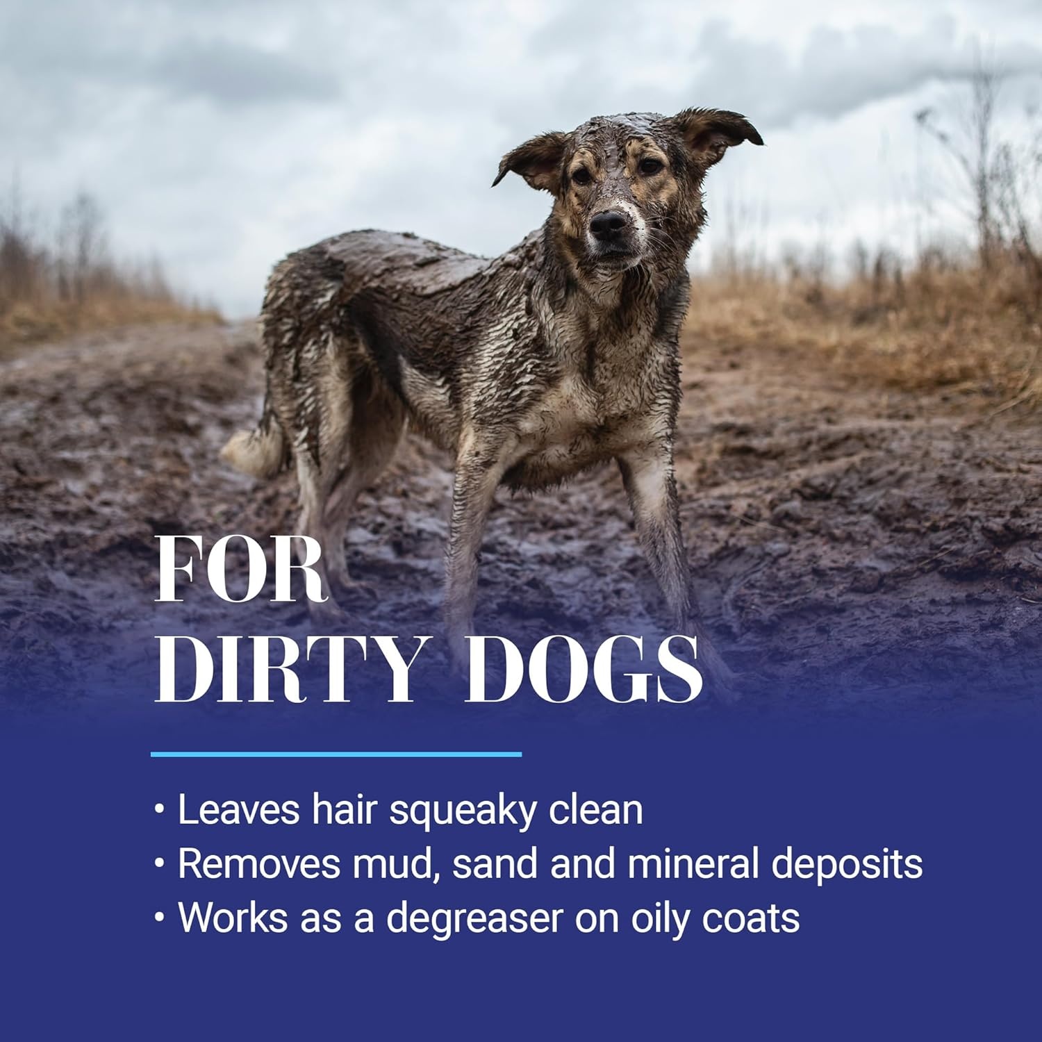 image:imageChris Christensen Clean Start Clarifying Dog Shampoo ProVitamin Formula That Wont Strip The Coat Removes Product Buildup Waxes Oil and Dirt 16 Ounces16 Ounces