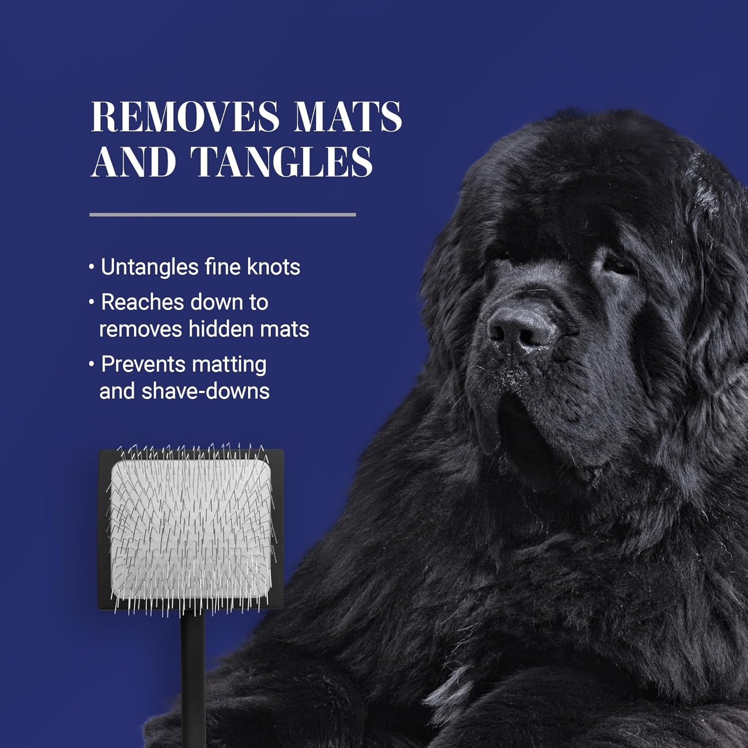 image:imageChris Christensen Big G Dog Slicker Brush Groom Like a Professional Fluff Detangle Style Saves Time Energy Made in Germany Coral MediumBlack