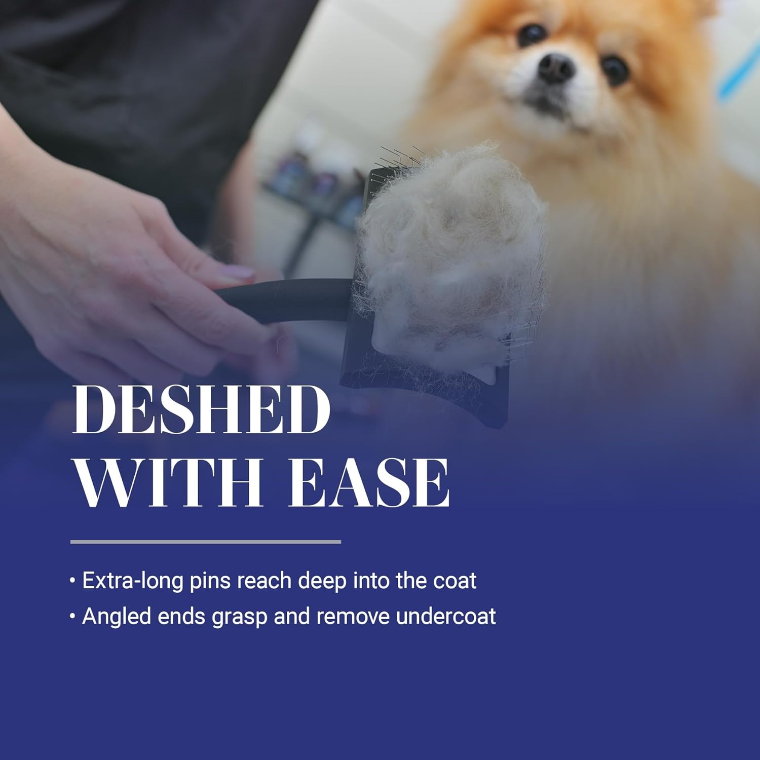 image:imageChris Christensen Big G Dog Slicker Brush Groom Like a Professional Fluff Detangle Style Saves Time Energy Made in Germany Coral MediumBlack