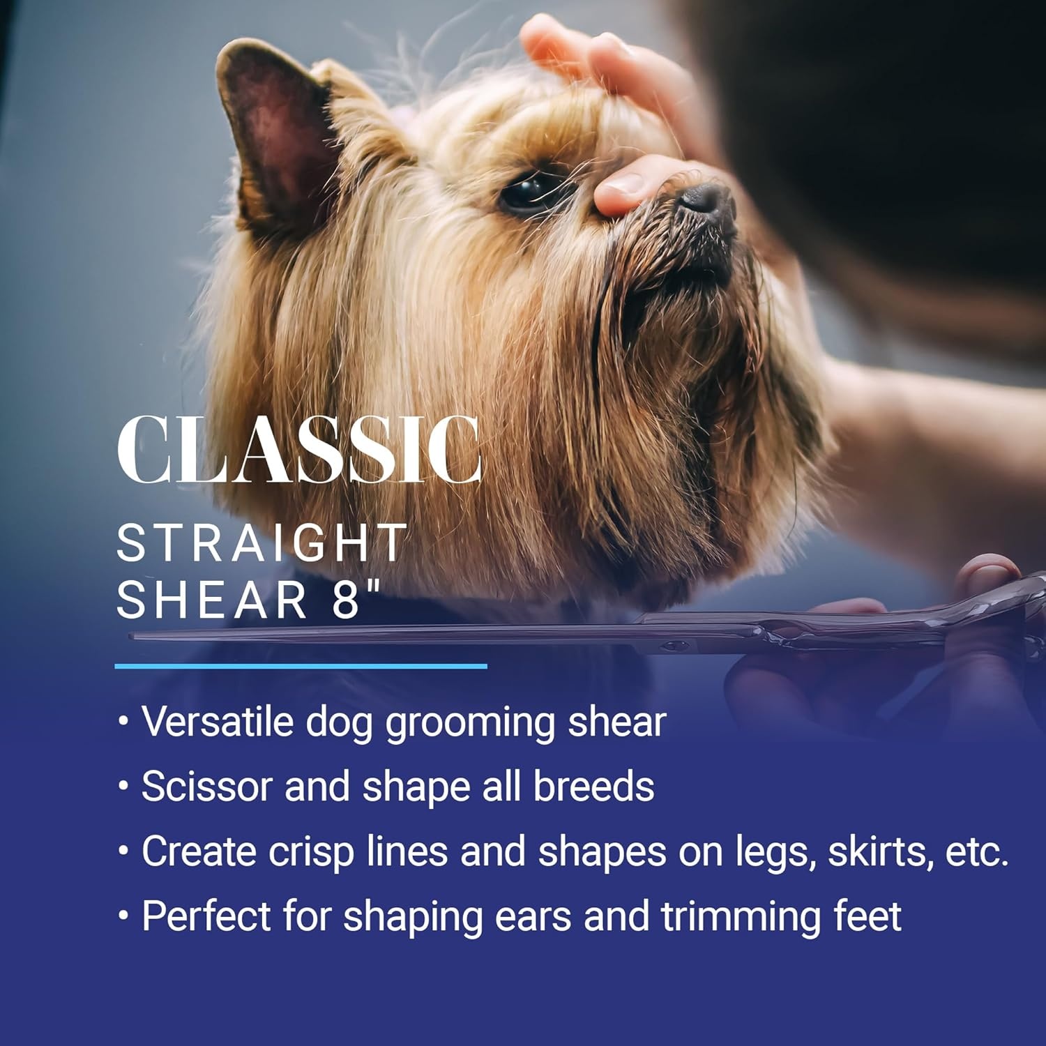 image:imageChris Christensen Classic Series Grooming Shears Full Set of Shears With Case Groom Like a Professional Any Skill Level Made From 440C Japanese Steel8 inch Straight