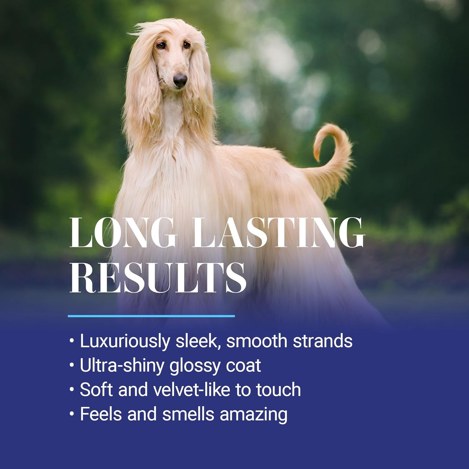 image:imageChris Christensen Ice on Ice Detangling Dog Conditioner Groom Like a Professional Dematts Moisturizes Creates Long Lasting Silkiness All Coat Types Made in USA 16oz16oz
