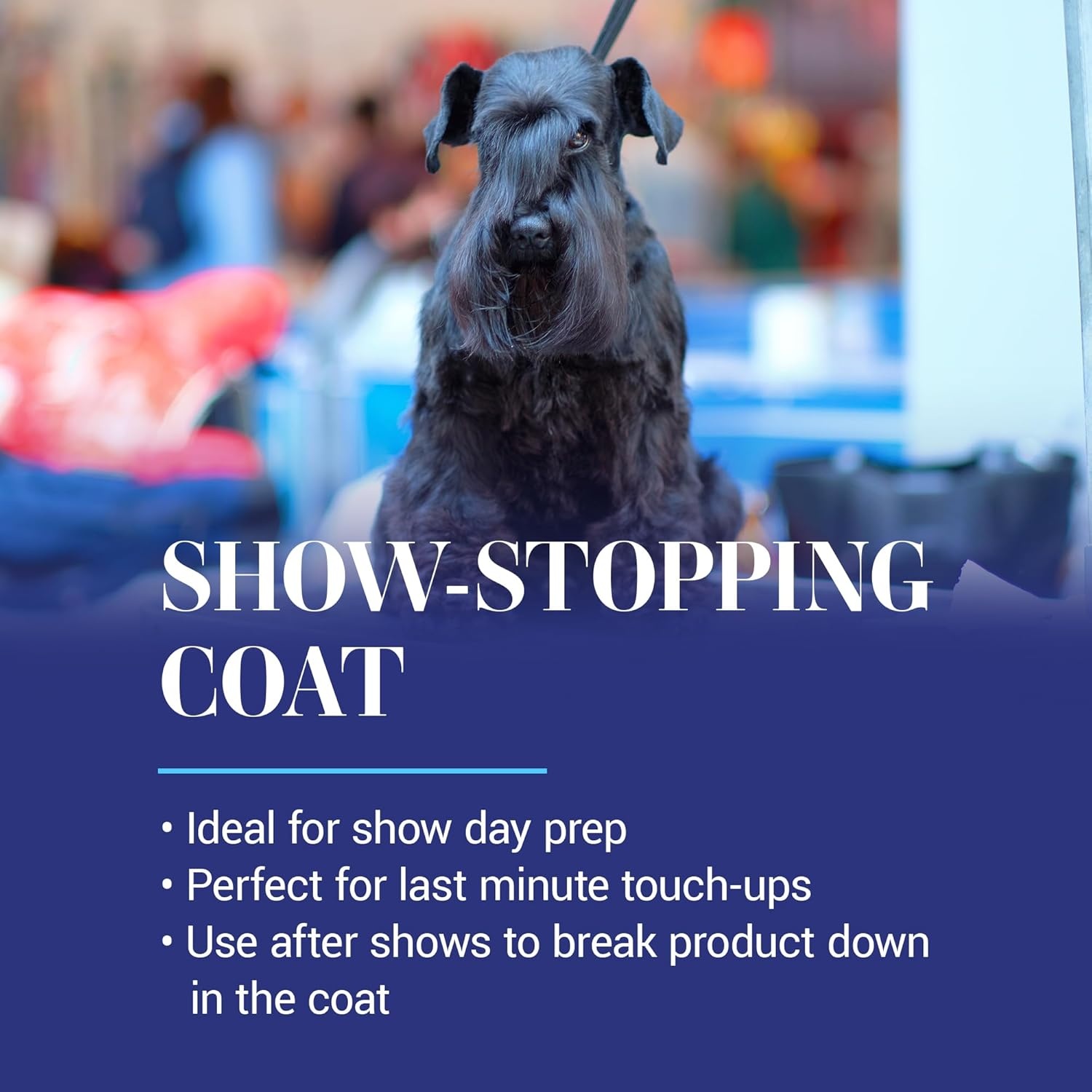 image:imageChris Christensen Just Divine Dog Brushing Spray Groom Like a Professional Prevents Brushing Damage Light Detangler Ready to Use All Coat Types Made in USA 16oz16 oz Concentrate