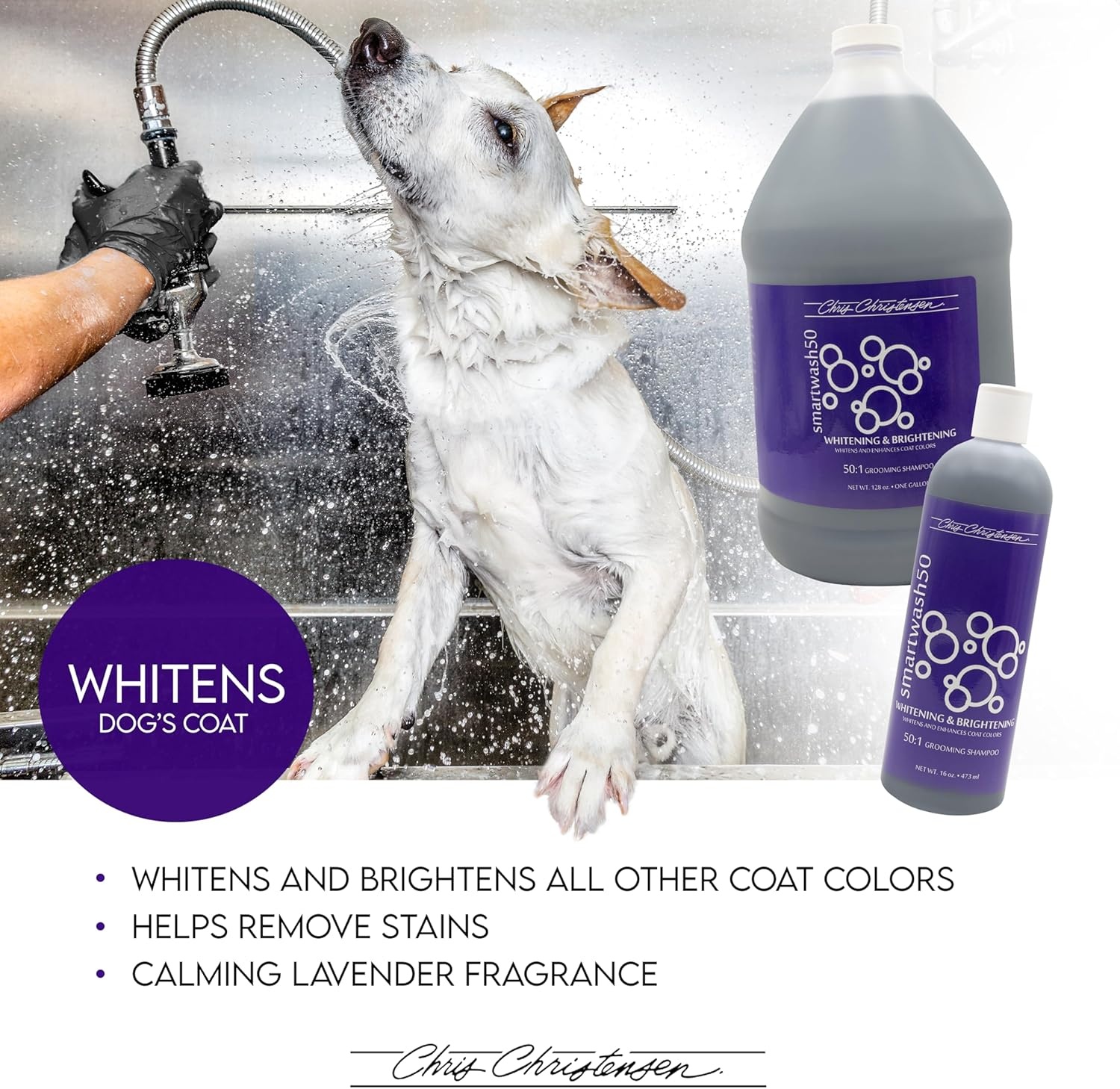 image:imageChris Christensen SmartWash50 Whitening amp Brightening Ultra Concentrated Dog Shampoo Makes up to 50 Bottles Groom Like a Professional Lavender Fragrance Made in USA 16 oz16 OZ