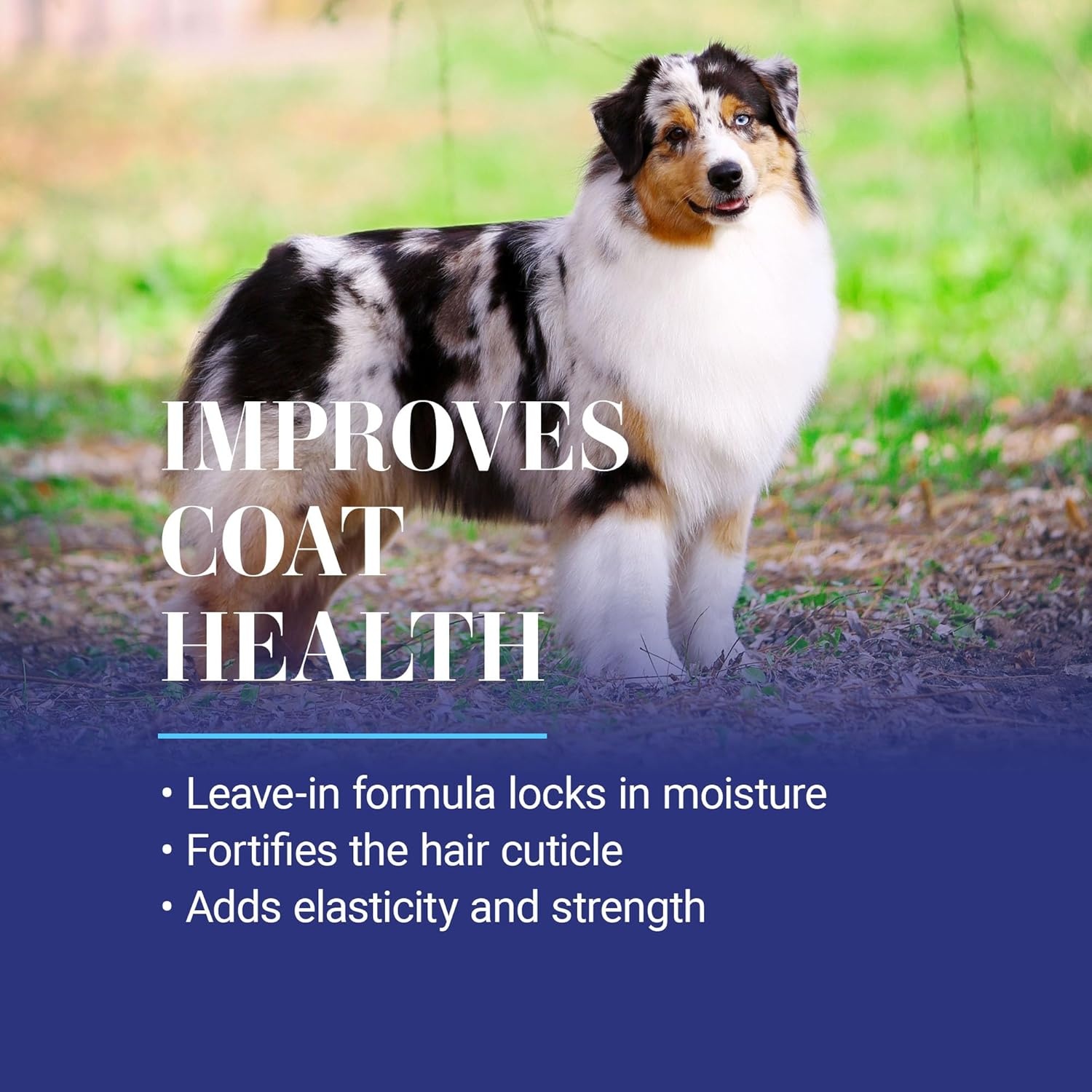 image:imageChris Christensen Ice on Ice Detangler and Finishing Dog Spray Concentrated Formula Makes 2 Gallons Helps BrushComb Glide Through Coat Conditions No Residue All Coat Types Made in USA 16 oz