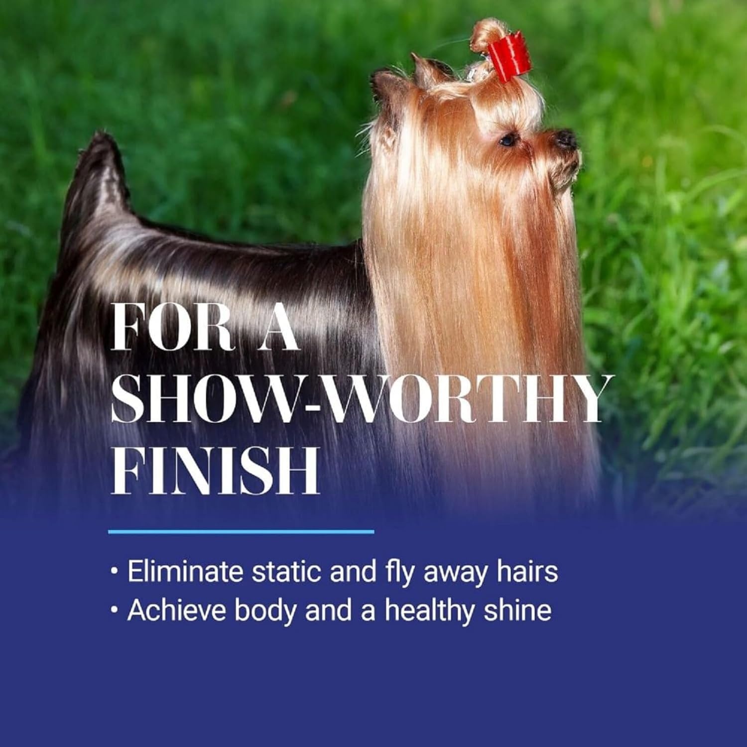 image:imageChris Christensen Ice on Ice Detangler and Finishing Dog Spray Groom Like a Professional Ready to Use Helps BrushComb Glide Through Coat Conditions No Residue All Coat Types Made in USA 16 oz