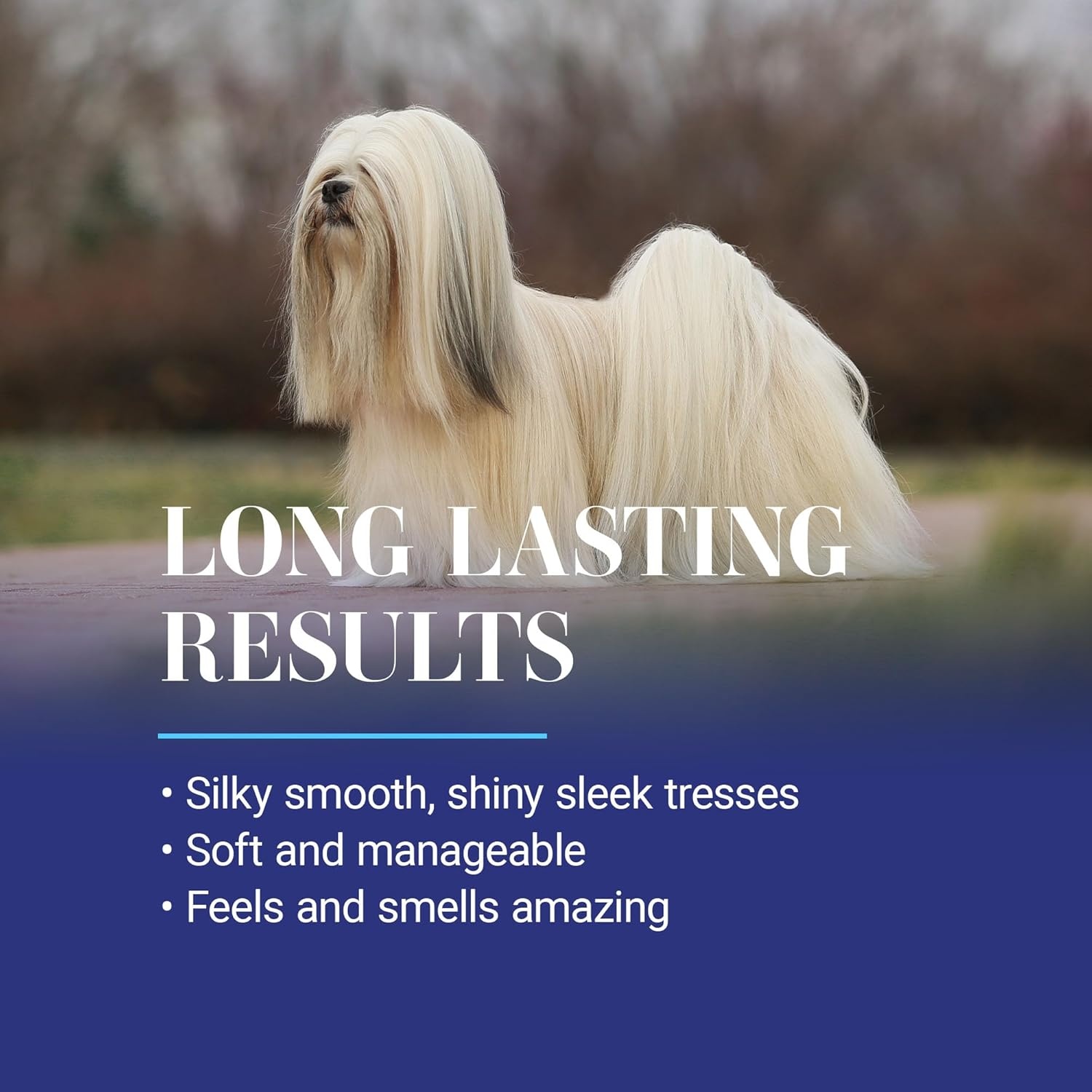 image:imageChris Christensen Ice on Ice Strengthening Dog Shampoo Groom Like Professional Revives Dry Damaged Coats amp Strands All Coat Types Made in USA 16oz1gal