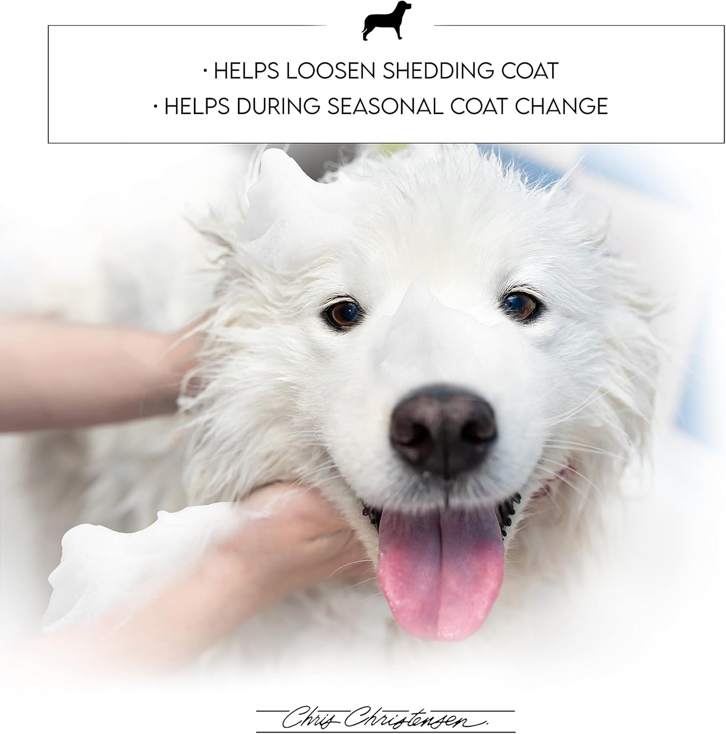 image:imageChris Christensen Smart Rinse All Coat Ultra Concentrated Dog Conditioner Makes up to 8 Bottles Groom Like a Professional Fragrence Free Gentle Formula Made in USA 1 gal