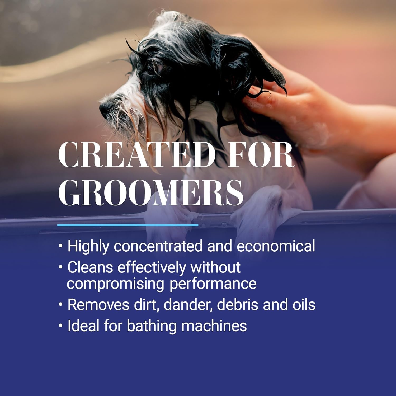 image:imageChris Christensen Smartwash50 Hydrating Blend Ultra Concentrated Dog Shampoo Makes Up to 50 Bottles Groom Like A Professional Delightfully Fragranced Suitable for All Coats Made in USA 16 OzPapaya Starfruit 1 Gallon