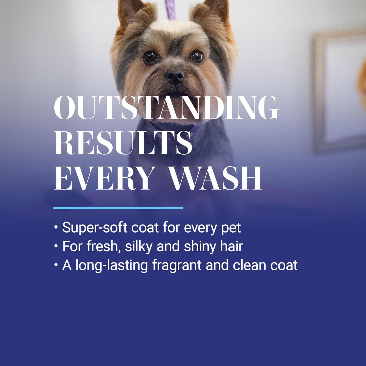 image:imageChris Christensen Smartwash50 Hydrating Blend Ultra Concentrated Dog Shampoo Makes Up to 50 Bottles Groom Like A Professional Delightfully Fragranced Suitable for All Coats Made in USA 16 OzTropical Breeze 16 Oz
