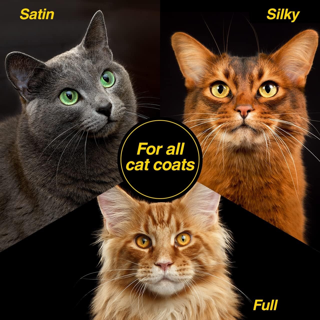 image:imageChris Christensen Top Cat Body Boost Coat Treatment for Cats Groom Like a Professional Enhances Volume amp Density Repairs Coat Damage Made in USA 32 oz