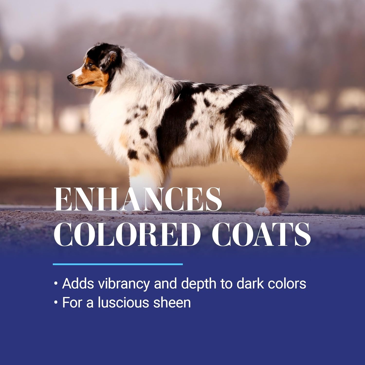 image:imageChris Christensen White on White Whitening Treatment Dog Shampoo 16OZ1GAL
