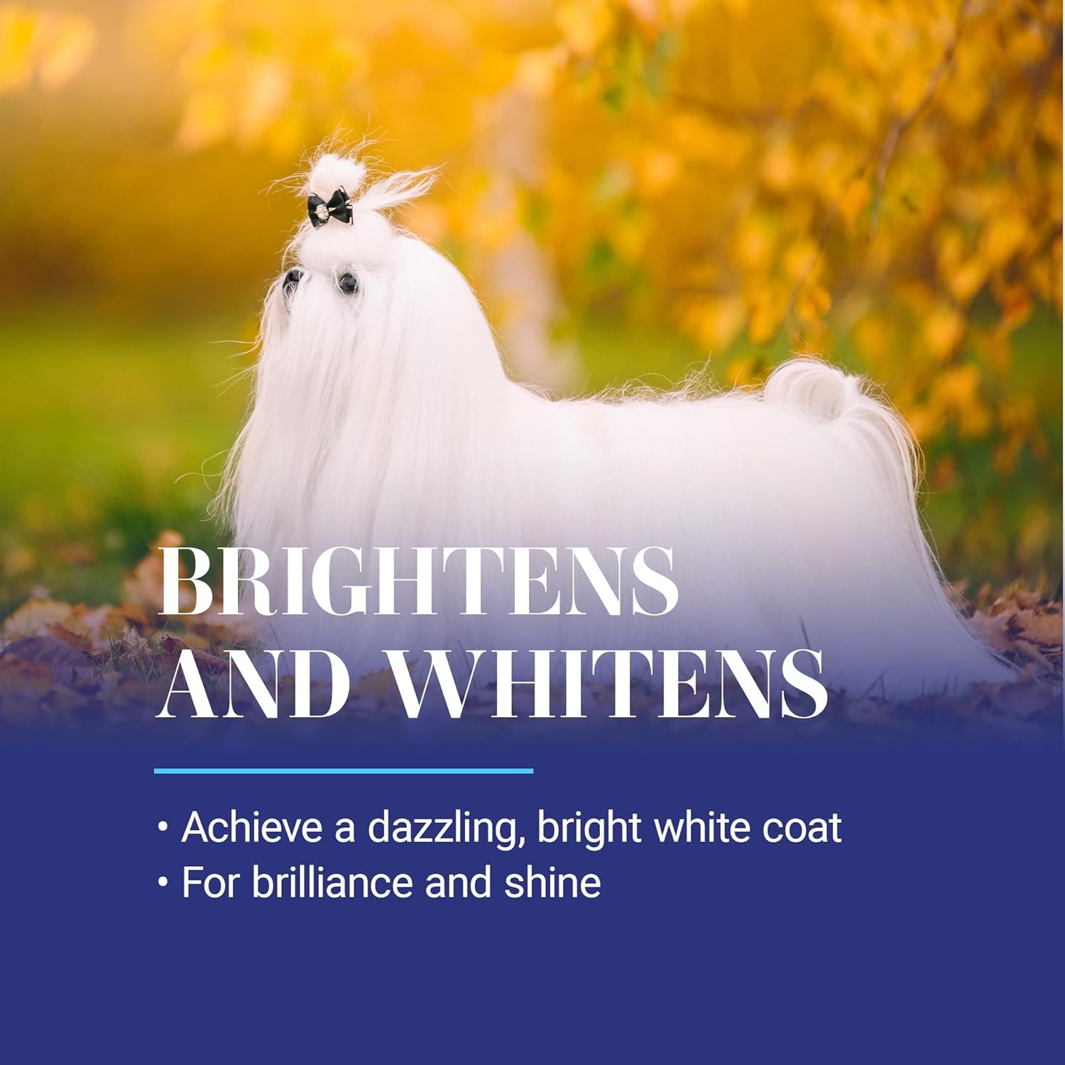 image:imageChris Christensen White on White Whitening Treatment Dog Shampoo 16OZ1GAL