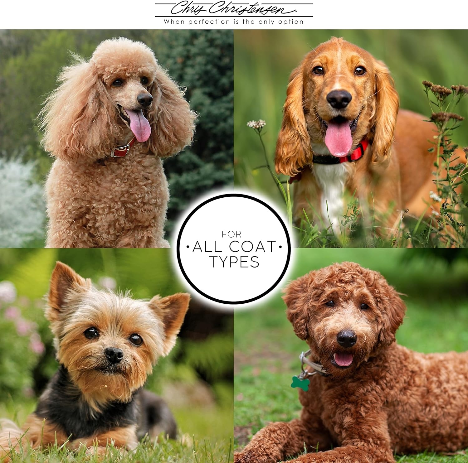image:imageChris Christensen Dog Brush 20 mm Tiny Tot Wood Pin Series Groom Like a Professional Readl Wood Pins 100 StaticFree Redistribute Natural Oils into Coat Reduces Painful Pulling 46 x 15