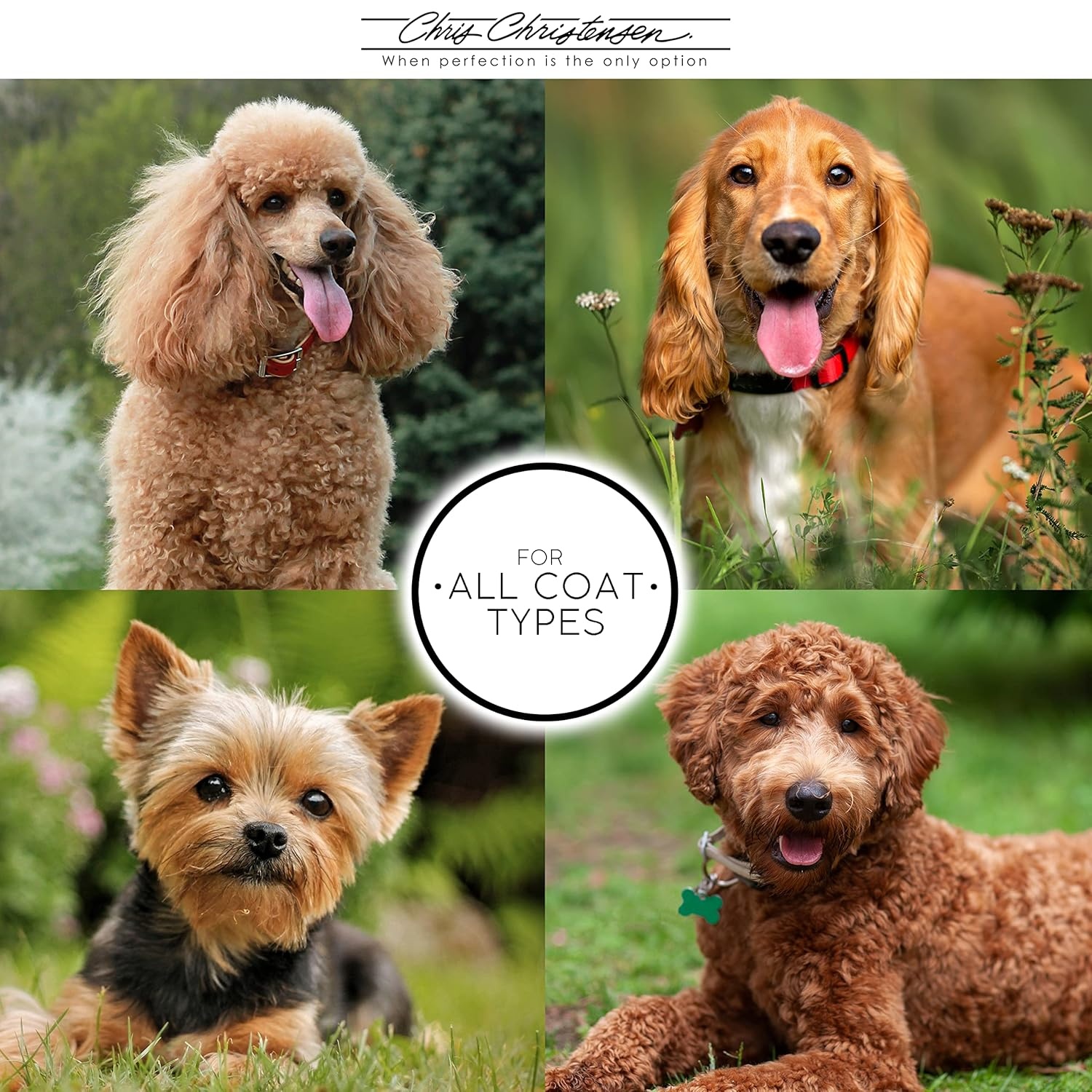 image:imageChris Christensen Grooming Kit for Goldendoodles Labradoodles Poodles with Big G Dog Slicker Brush Ice on Ice Detangling Spray Pro Line Self Rinse Plus Spray
