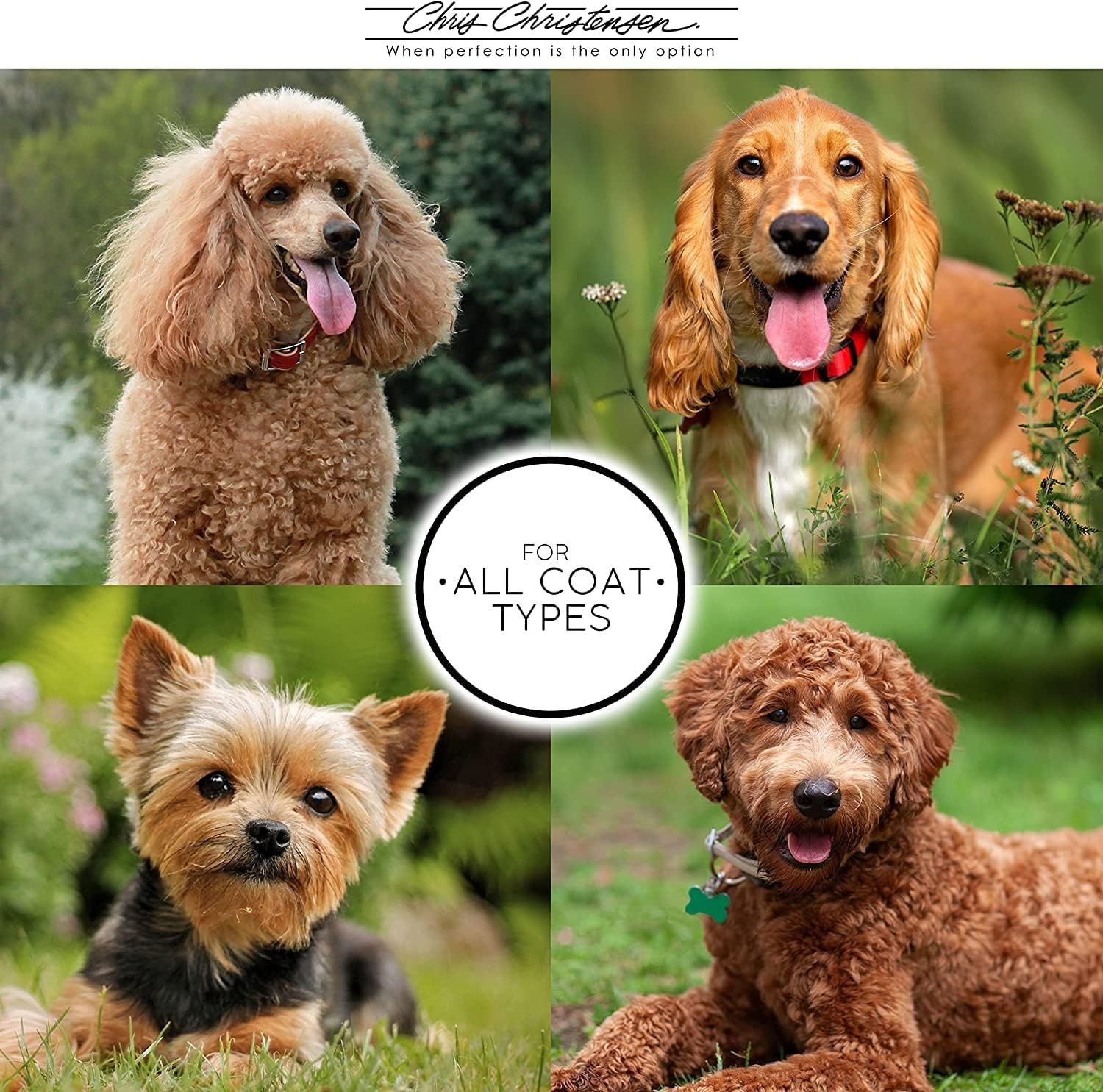 image:imageChris Christensen Day to Day Ultra Concentrated Dog Conditioner Makes up to 8 Bottles Groom Like a Professional Moisturizing All Coat Types for Daily Use Made in USA 1gal16 oz