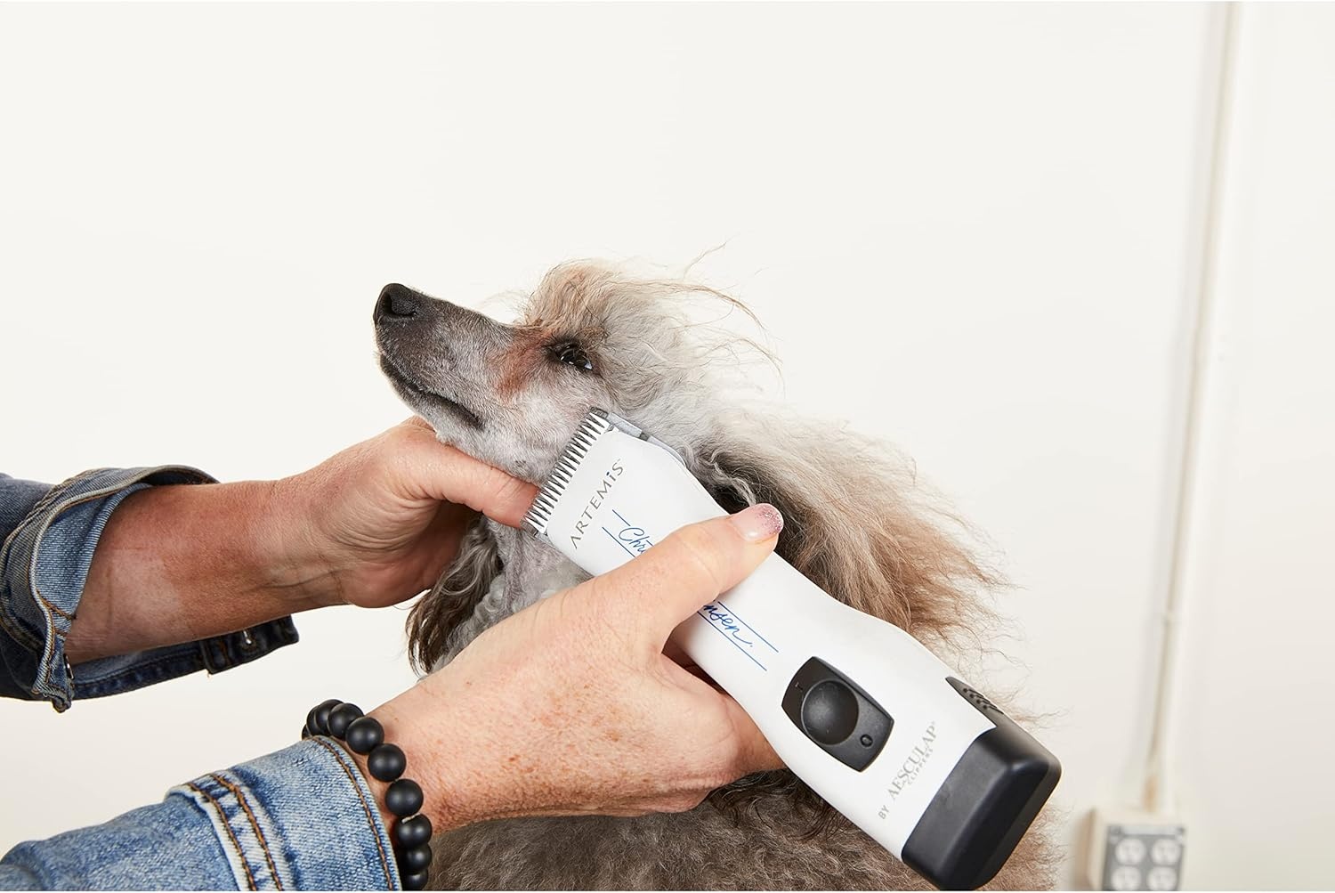 image:imageChris Christensen Artemis Dog Clipper Cordless Grooming 10 Blade Runs Quiet 63 db Lightweight 084 lbs 4Hours Run Time Lithuim Ion Battery Made in Germany White