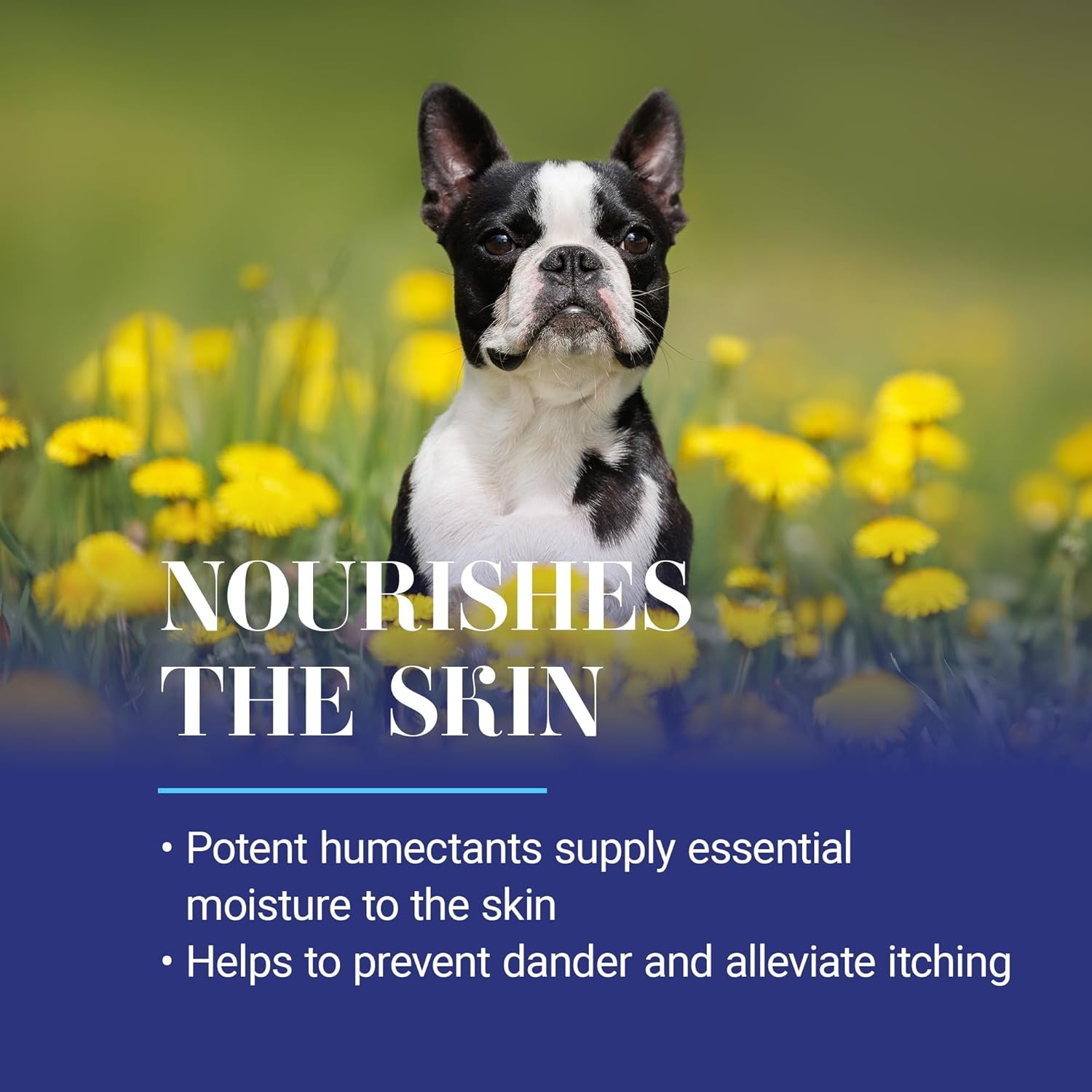 image:imageChris Christensen Quench Leave in Dog Conditioning Spray Groom Like a Professional Moisturize UV Protection Made in USA 132 oz