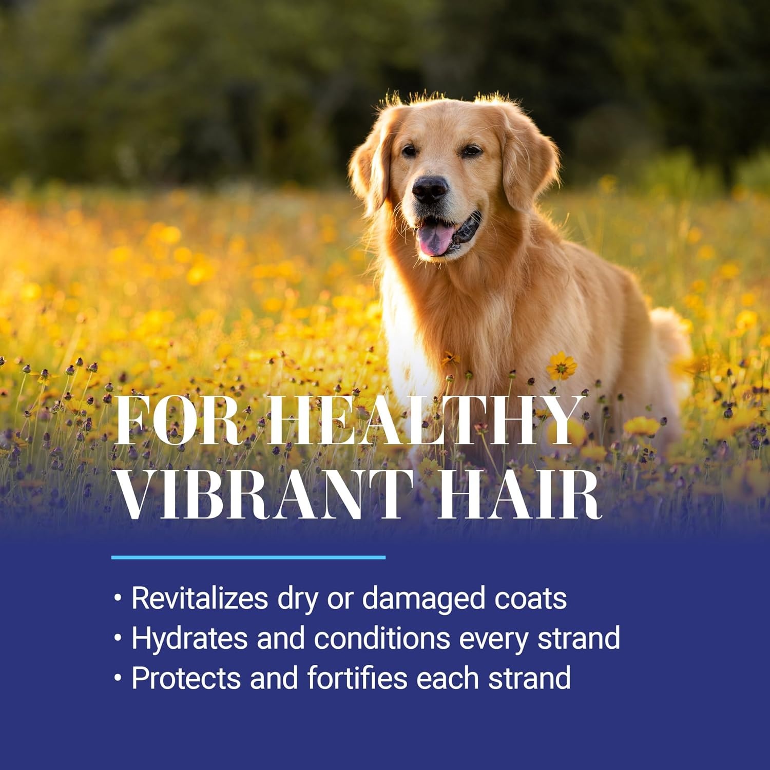 image:imageChris Christensen Quench Leave in Dog Conditioning Spray Groom Like a Professional Moisturize UV Protection Made in USA 132 oz