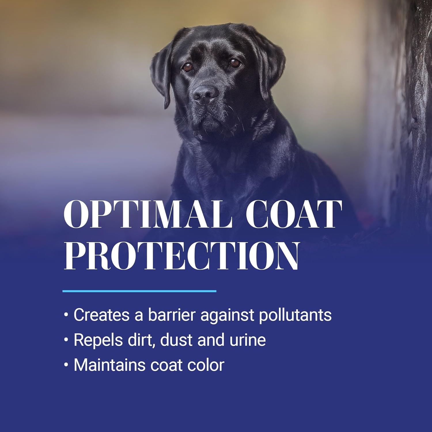 image:imageChris Christensen Ice on Ice Ultra Conditioning Dematting Spray Dog Conditioner Groom Like a Professional Lightweight Formula Dematts amp Detangles Conditions amp Protects Made in the USA 132oz