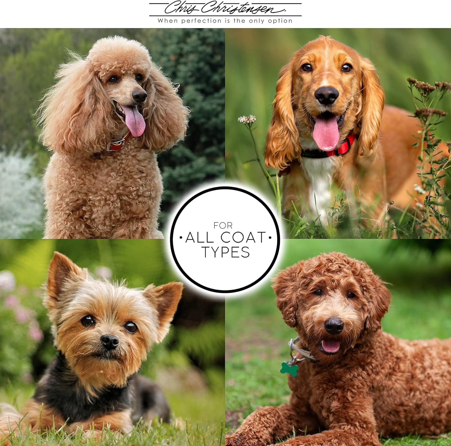 image:imageChris Christensen Dog Shampoo amp Conditioner Gallon Bundle Clean Start Clarifying Shampoo After U Bathe Final Rinse Solution Day to Day Moisturizing Condiutioner Groom Like a Proffesional